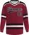 Custom Hockey Jersey Personalize Printing Team Name Number Logo Uniform for Men Women Youth